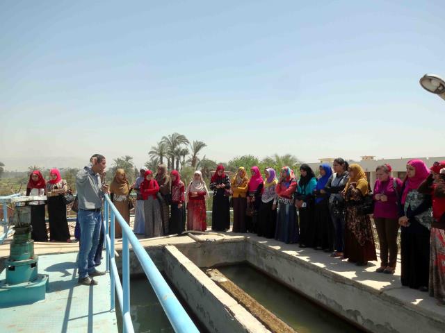 صورة