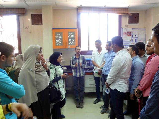 صورة