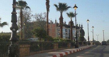 صورة