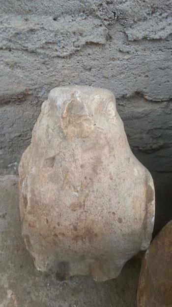 صورة