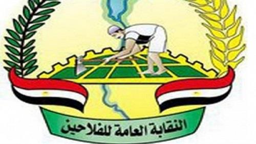 صورة