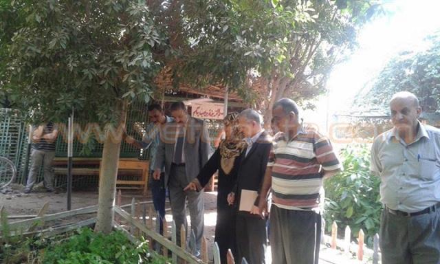 صورة