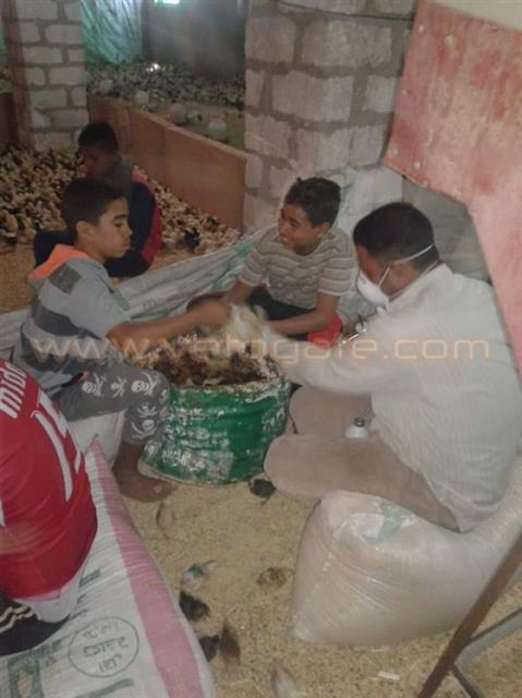 صورة