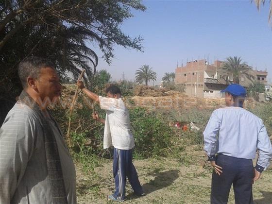 صورة