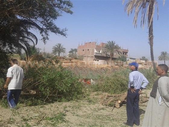 صورة
