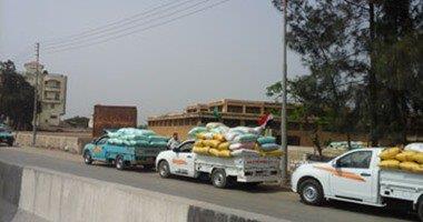 صورة