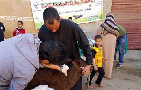 صورة
