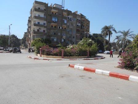 صورة