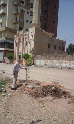 صورة