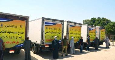 صورة