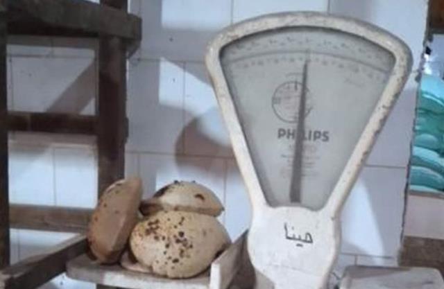 صورة
