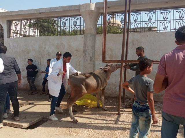 صورة