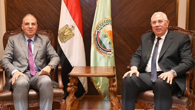 صورة