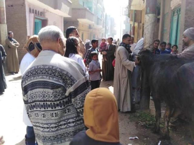 صورة