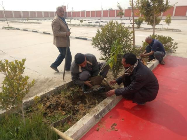 صورة