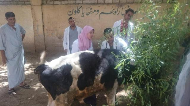 صورة