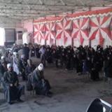 صورة